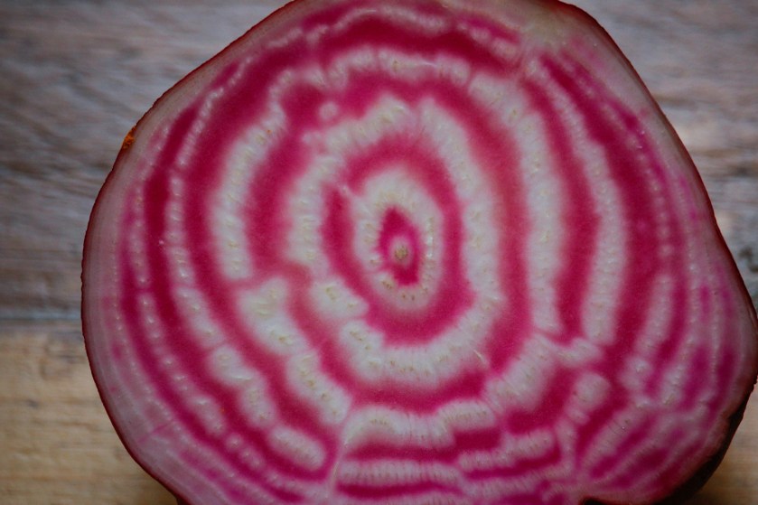 kk_web_post_1840x1225_schwarzerlinsensalat_03