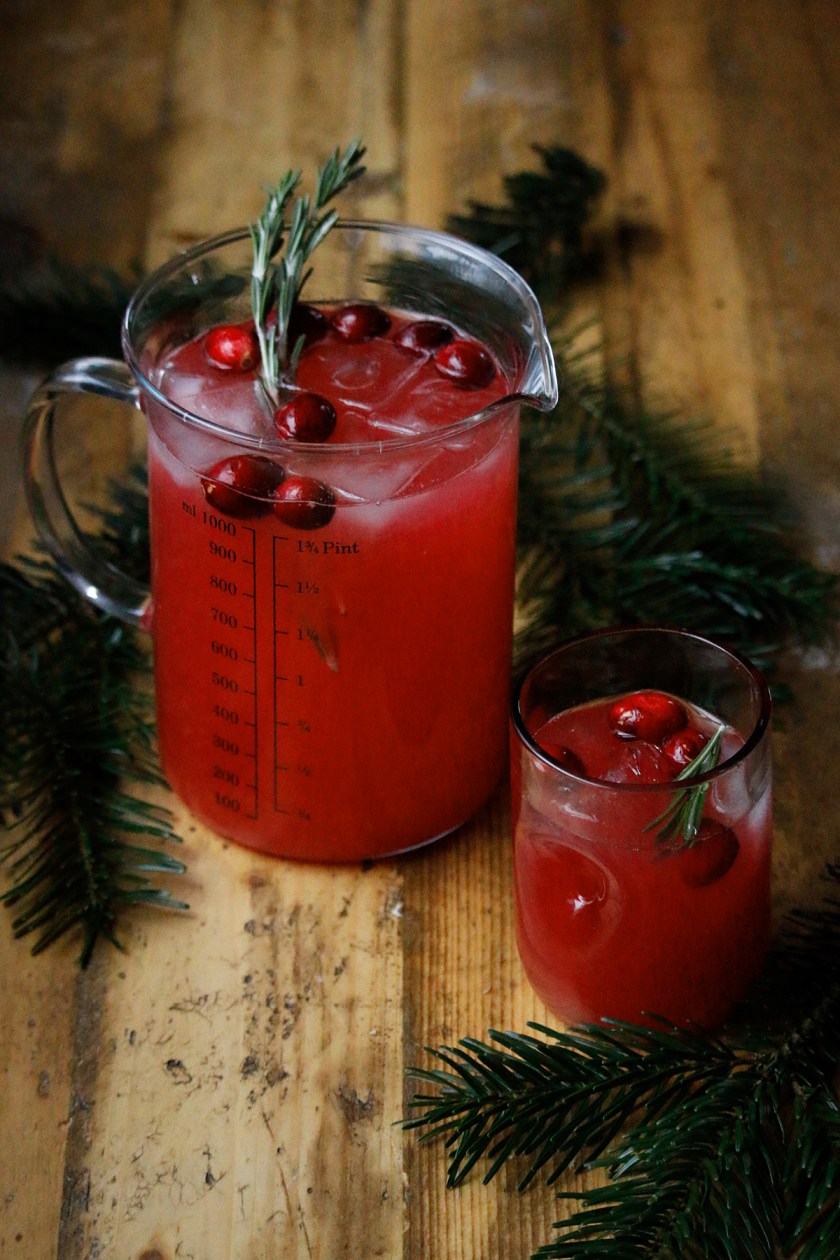 kranichbeerenlimonade_post2