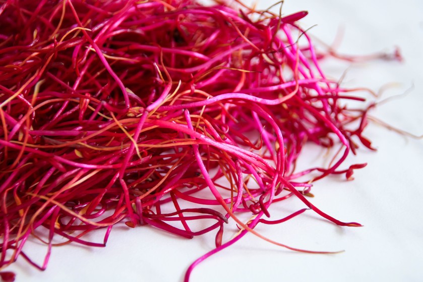 KK_WEB_Post_1840x1225_QuinoaPfanne_04